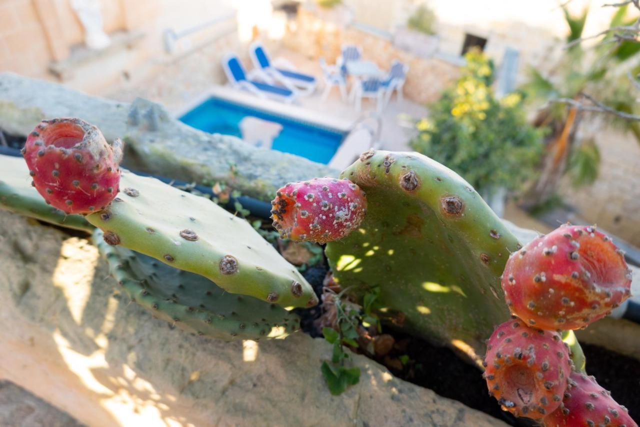 Prickly Pear Holiday Home No.1 산로렌츠 외부 사진