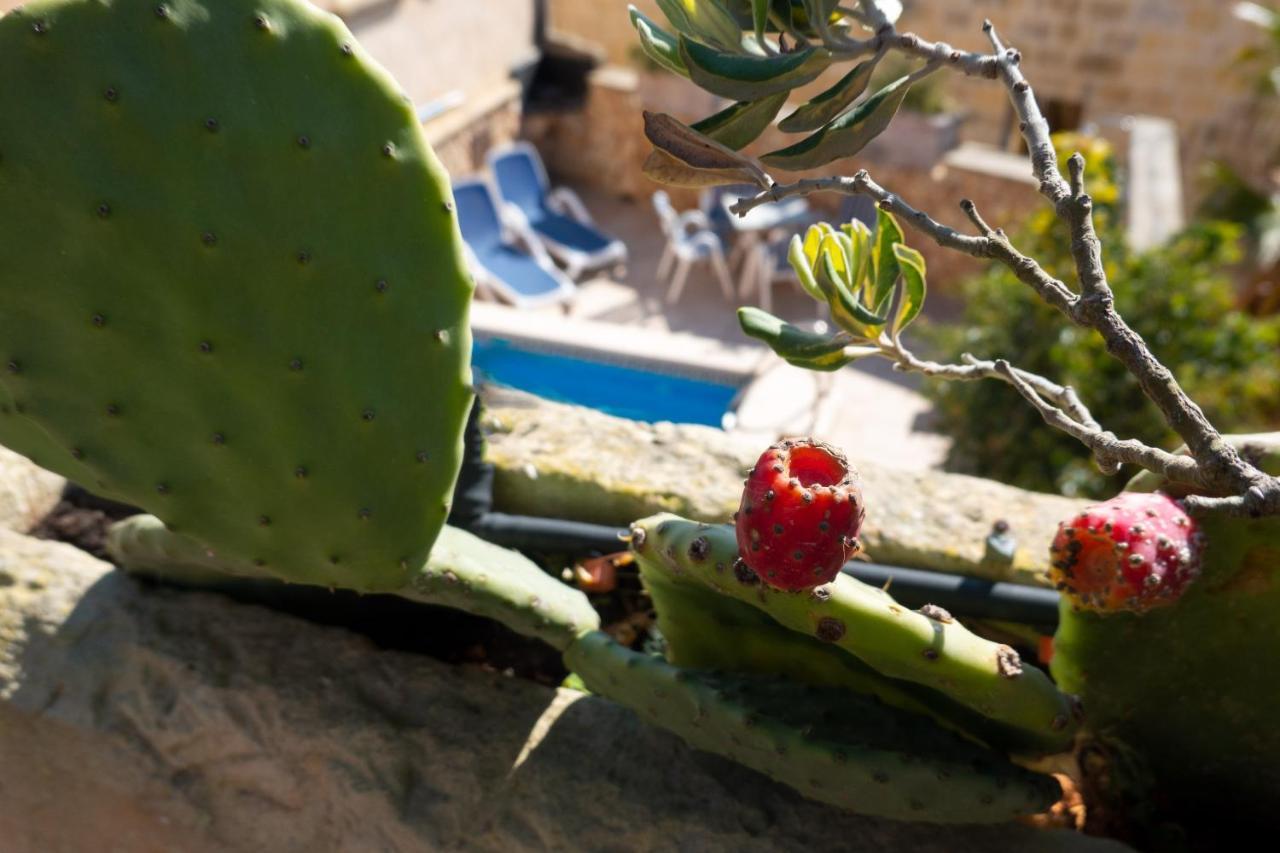 Prickly Pear Holiday Home No.1 산로렌츠 외부 사진